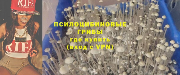 тгк Алзамай