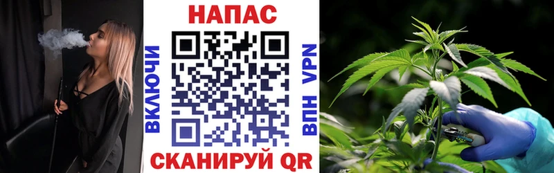 Конопля марихуана Ярославль